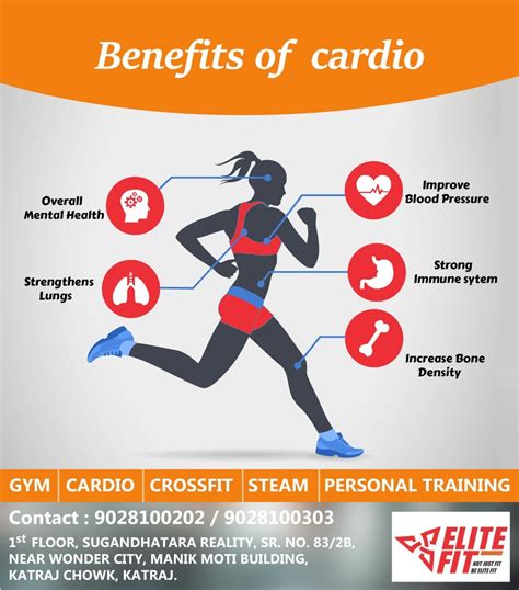 Cardio: Everything You Need to Know About Cardio .